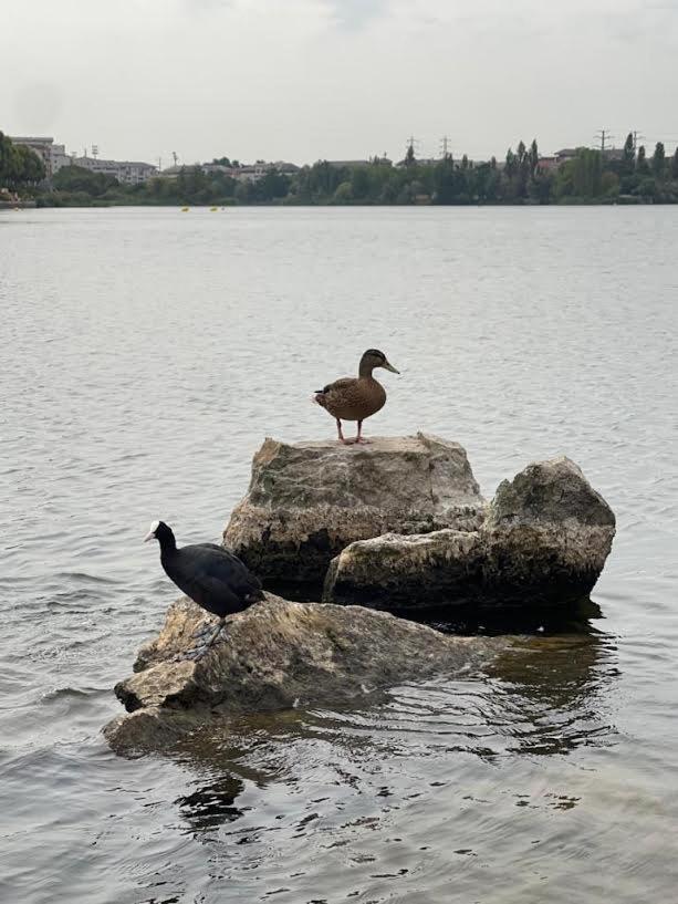 Vue Exceptionnelle Sur Le Lac Créteil Exterior foto